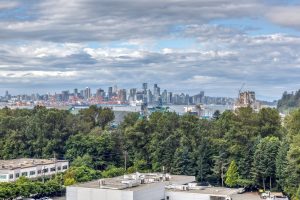 Parham Baghaie Hunter North Vancouver Court Order forclosure