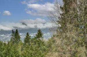 Parham-Baghaie-21 (1)