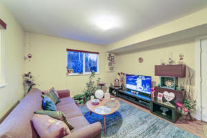 Parham-Baghaie-4 (1) (1) (1)
