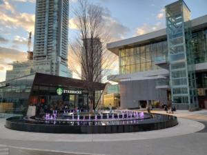 Parham-Baghaie-Amazing-Brentwood-3