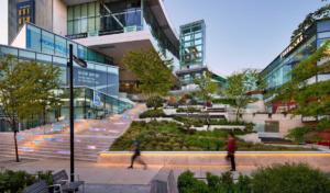 Parham-Baghaie-Amazing-Brentwood-4