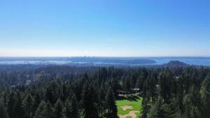 Parham-Baghaie-British-properties-west-vancouver-39