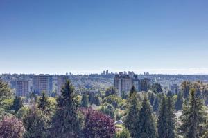 Parham-Baghaie-Burquitlam-11