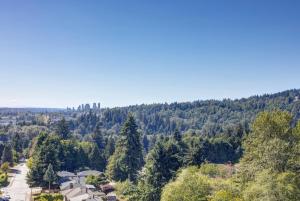 Parham-Baghaie-Burquitlam-12