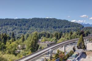 Parham-Baghaie-Burquitlam-13