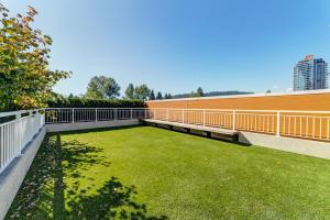 Parham-Baghaie-Burquitlam-24