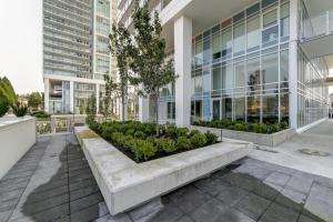 Parham-Baghaie-Burquitlam-3