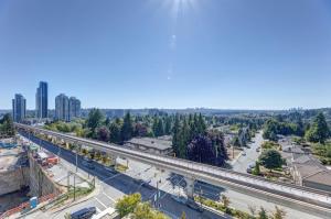 Parham-Baghaie-Burquitlam-9
