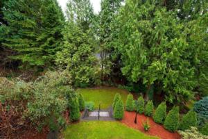 Parham-Baghaie-Canyon-heights-5