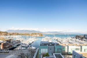 Parham-Baghaie-Coal-Harbor-29