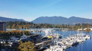 Parham-Baghaie-Coal-Harbour-3