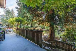 Parham-Baghaie-Coquitlam-17
