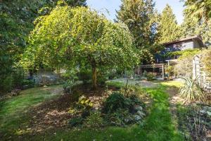 Parham-Baghaie-Coquitlam-3