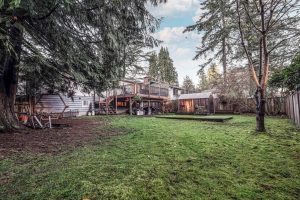 Parham-Baghaie-Coquitlam-35 (1) (1) (1) (1)