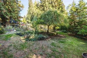 Parham-Baghaie-Coquitlam-4
