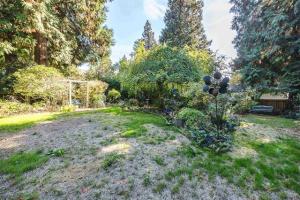 Parham-Baghaie-Coquitlam-5