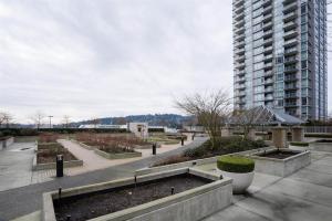 Parham Baghaie Coquitlam Realtor