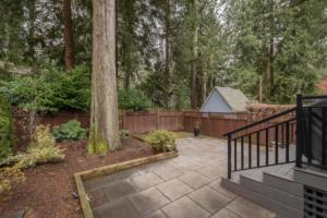 Parham-Baghaie-Lynn-Valley-26