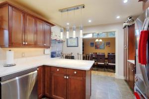 Parham-Baghaie-Maple-Ridge-15 (1)