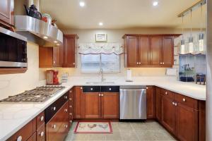 Parham-Baghaie-Maple-Ridge-16 (1)