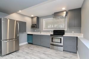 Parham-Baghaie-Maple-ridge-26