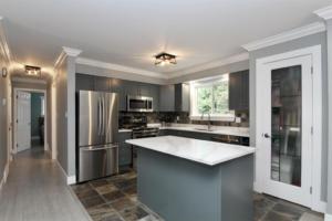 Parham-Baghaie-Maple-ridge-3