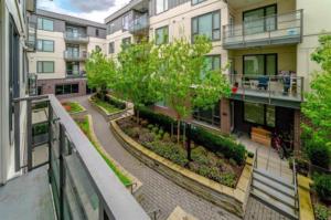 Parham-Baghaie-Metrotown-2