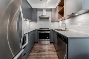 Parham-Baghaie-Metrotown-7