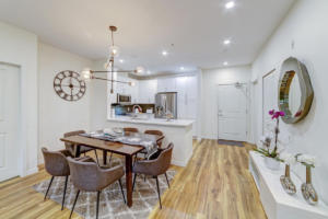 Parham-Baghaie-North-Vancouver-17