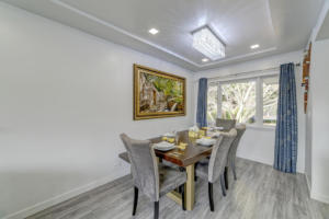 Parham-Baghaie-North-Vancouver-1 (1)