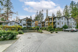 Parham-Baghaie-North-Vancouver-2 (1)