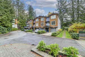 Parham-Baghaie-North-Vancouver-34