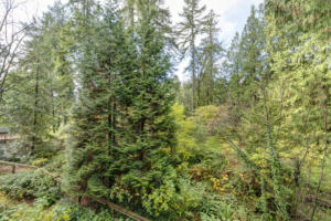 Parham-Baghaie-North-Vancouver-7 (1)