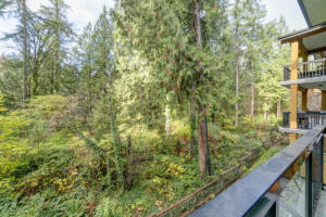 Parham-Baghaie-North-Vancouver-8 (1)