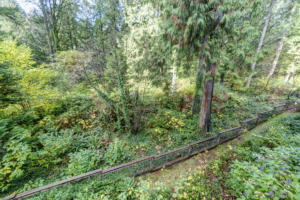 Parham-Baghaie-North-Vancouver-9 (1)