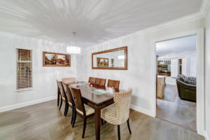 Parham-Baghaie-Port-Coquitlam-22