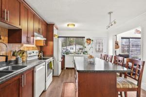 Parham-Baghaie-Port-Coquitlam-lincoln-park-7