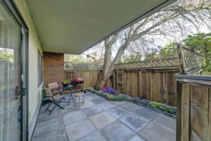 Parham-Baghaie-Realtor-14