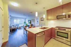 Parham-Baghaie-Realtor-North-Vancouver-6