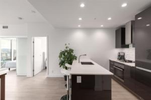 Parham-Baghaie-Tate-vancouver-5