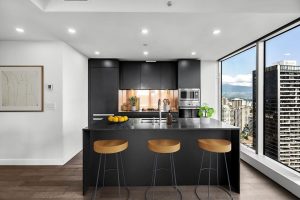 Parham-Baghaie-Vancouver-House-1