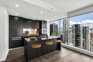 Parham-Baghaie-Vancouver-House-2