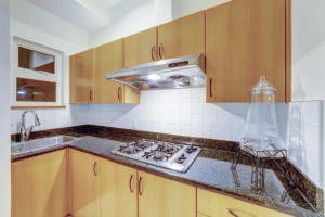 Parham-Baghaie-West-Vancouver-16
