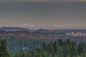 Parham-Baghaie-West-Vancouver-2