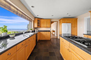 Parham-Baghaie-West-Vancouver-4