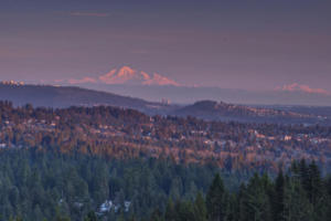 Parham-Baghaie-West-Vancouver-5