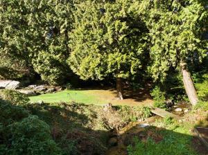 Parham-Baghaie-West-Vancouver-6 (1)
