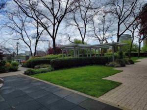 Parham-Baghaie-Yaletown-9