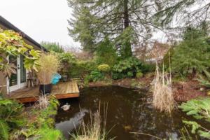 Parham-Baghaie-north-Vancouver-7