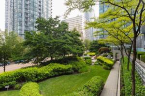 Parham Baghaie 1288 W Georgia St Vancouver (2)
